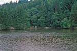 02Along The Columbia River
