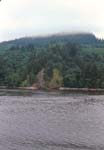03Along The Columbia River
